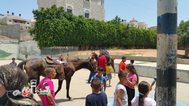 كفرقاسم - فيديو  : تعليم هواية ركوب الخيل في مدرسة جنة ابن رشد في اليوم الرابع لصيف الصادقة 